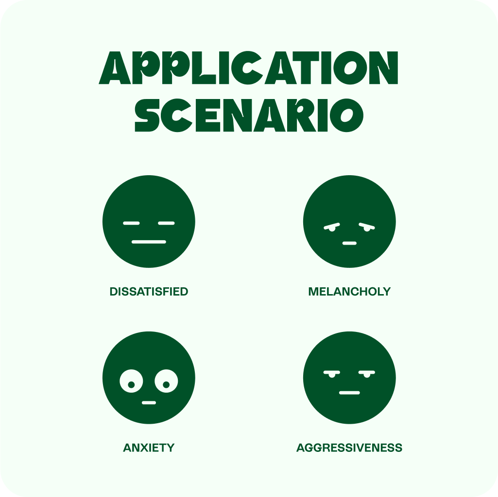 Lio® Journey Pack